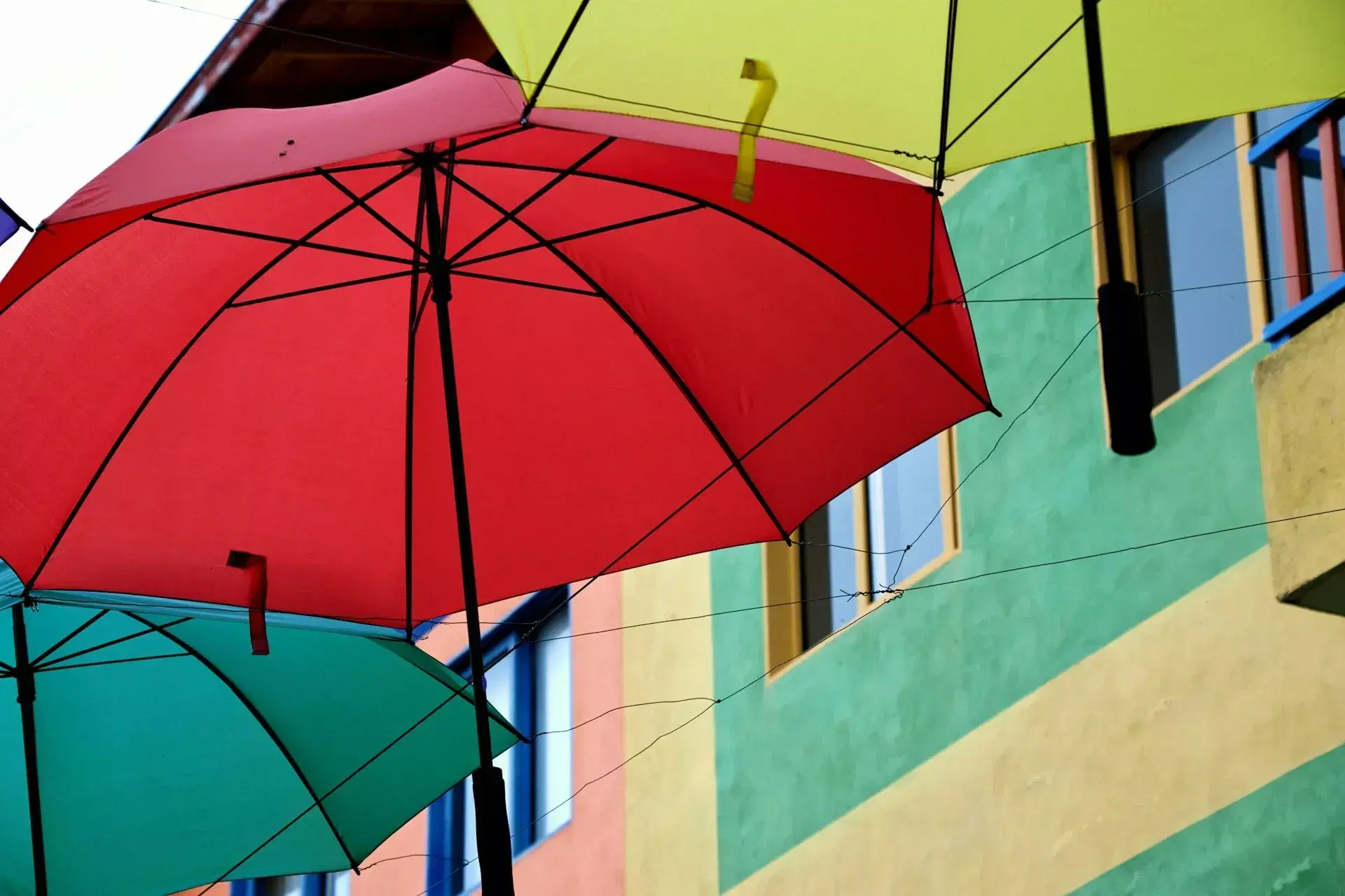 IT Contractors: How to choose the best Umbrella Company ?