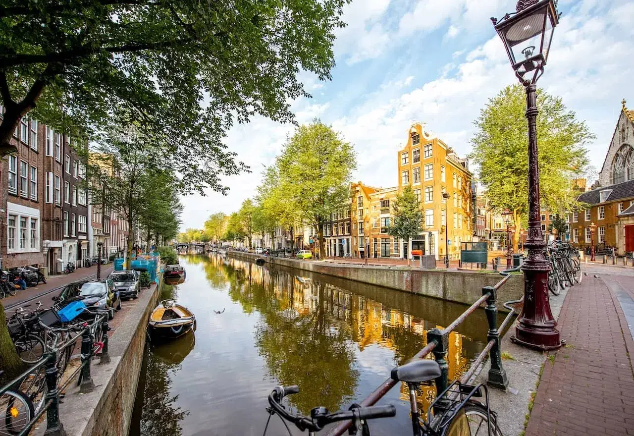 Freelancing in the Netherlands: What You Need to Know?