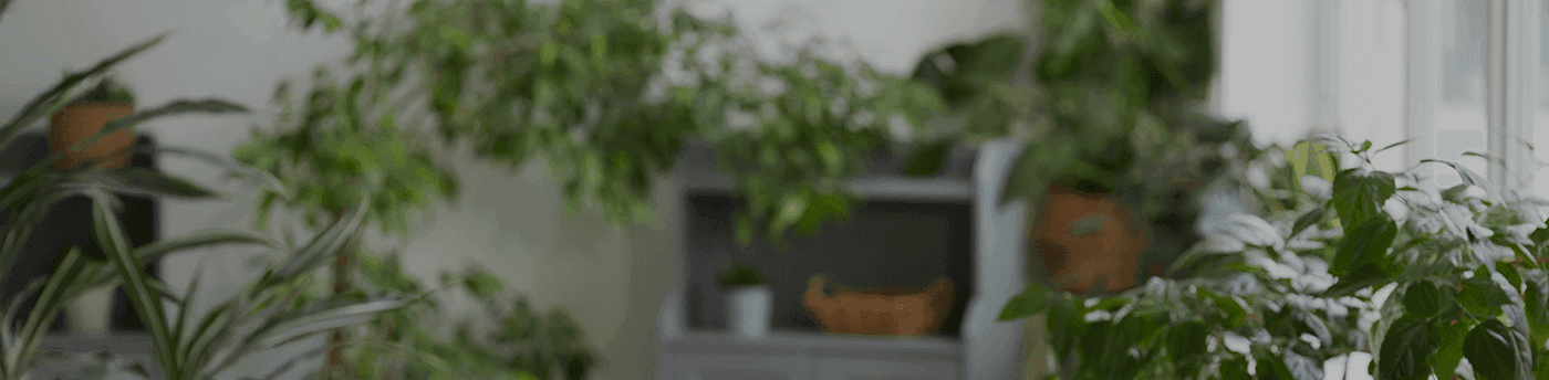 Member Benefits hero background