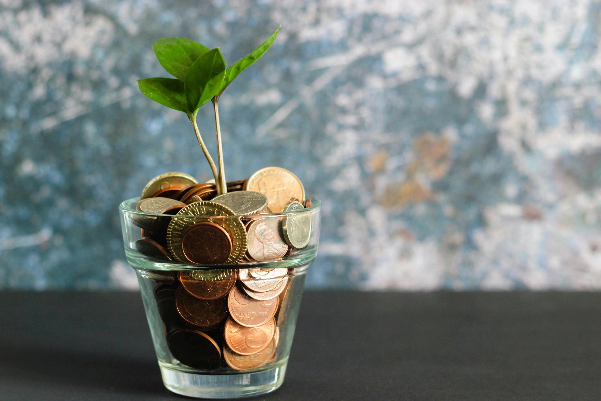 Glass of coins with a growing plant illustrating umbrella company pension contributions and retirement growth.
